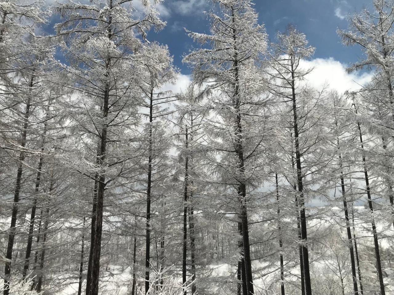 美瑛町 リッツ ガーデン 虹ゲストハウス エクステリア 写真
